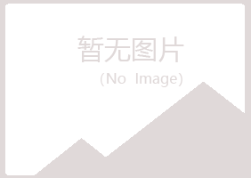 鹤岗南山倾城金属有限公司